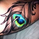 fotó páva toll tetoválásról, kelt 06.06.2016 №061 - tetoválás pávatoll -