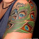 fotó egy pávatoll tetoválásról, kelte: 2018.06.26. №068 - tetoválás pávatoll -