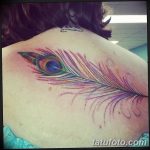 fotó páva toll tetoválásról, kelt 06.06.2016 №072 - tetoválás pávatoll -