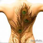 fénykép egy pávatoll tetoválásról, kelte: 2018.06.26. №079 - tetoválás pávatoll -