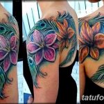 fotó egy pávatoll tetoválásról, kelte: 2018.06.26. №07 - tetoválás pávatoll -