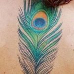 fotó egy pávatoll tetoválásról, kelte: 2018.06.26. №105 - tetoválás pávatoll -