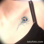 fotó egy pávatoll tetoválásról, kelte: 2018.06.26. №109 - tetoválás pávatoll -