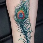 fotó egy pávatoll tetoválásról, kelte: 2018.06.26. №115 - tetoválás pávatoll -