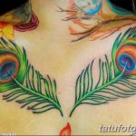 fotó egy pávatoll tetoválásról, kelte: 2018.06.26. №134 - tetoválás pávatoll -