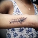 fotó egy pávatoll tetoválásról, kelte: 2018.06.26. №142 - tetoválás pávatoll -