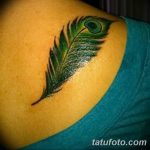 fotó egy pávatoll tetoválásról, kelte: 2018.06.26. №151 - tetoválás pávatoll -