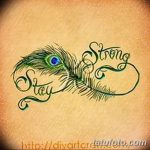 fotó páva toll tetoválásról, kelte: 2018.06.26. №152 - tetoválás pávatoll -