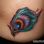 fotó egy pávatoll tetoválásról, kelte: 2018.06.26. №158 - tetoválás pávatoll -