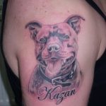 fotó egy pit bull terrier tetoválásról, kelte: 2017.10.25. №032 - tetováló pit bull terrier -