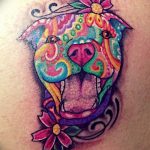 fotó a pit bull terrier tetoválásról, kelte: 2017.10.25. №035 - tetováló pit bull terrier -