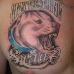 fotó egy pit bull terrier tetoválásról, kelt 2017.10.25. №065 - tetováló pit bull terrier -