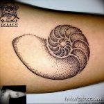 fotó egy kagylótetoválásról, kelt 2017.10.07. №097 - tetoválóhéj -