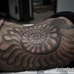 fotó egy kagylótetoválásról, kelt 2017.10.07. №120 - tetoválóhéj -