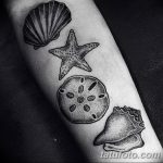 fotó egy kagylótetoválásról, kelt 2017.10.07. №125 - tetoválóhéj -