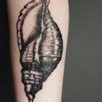 fotó egy kagylótetoválásról, kelt 2017.10.07. №165 - tetoválóhéj -