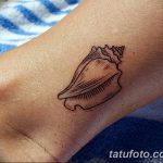 fotó egy kagylótetoválásról, kelt 2017.10.07. №172 - tetoválóhéj -