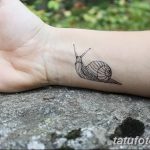 fotó egy kagylótetoválásról, kelt 2017.10.07. №176 - tetoválóhéj -