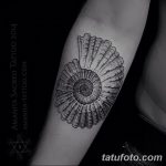 fotó egy kagylótetoválásról, kelt 2017.10.07. №211 - tetoválóhéj -