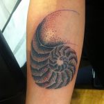 fotó egy kagylótetoválásról, kelt 2017.10.07. №016 - tetoválóhéj -