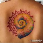 fotó egy kagylótetoválásról, kelt 2017.10.07. №024 - tetoválóhéj -