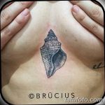 fotó egy kagylótetoválásról, kelt 2017.10.07. №042 - tetoválóhéj -