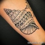 fotó egy kagylótetoválásról, kelt 2017.10.07. №052 - tetoválóhéj -