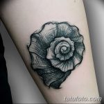 fotó egy kagylótetoválásról, kelt 2017.10.07. №062 - tetoválóhéj -