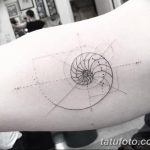 fotó egy kagylótetoválásról, kelt 2017.10.07. №087 - tetoválóhéj -