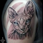 fotó tetoválás Szfinx Egyiptom kelt 2017.09.29. №116 - tetováló szfinx Egyiptom -