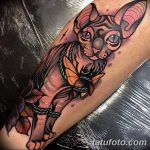 fotó tetoválás Szfinx Egyiptom kelt 2017.09.29 №013 - tetoválás szfinx Egyiptom -