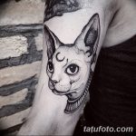 fotó tetoválás Szfinx Egyiptom kelt 2017.09.29. №039 - tetováló szfinx Egyiptom -