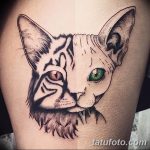 fotó tetoválás Szfinx Egyiptom kelt 2017.09.29 №050 - tetoválás szfinx Egyiptom -