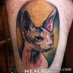 fotó tetoválás Szfinx Egyiptom kelt 2017.09.29. №068 - tetováló szfinx Egyiptom -