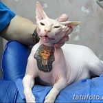 fotó tetoválás Szfinx Egyiptom kelt 2017.09.29. №089 - tetováló szfinx Egyiptom -