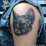 fotó tetoválás Szfinx Egyiptom kelt 2017.09.29. №105 - tetováló szfinx Egyiptom -