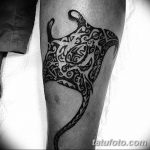 Fénykép egy csípős manta tetoválásról 2018.10.24. №026 - tetováló manta fotó -