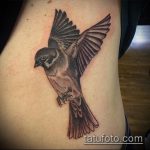 fotó a veréb tetoválásról # 595 - a minta exkluzív változata, amely sikeresen használható a veréb sapkában történő feldolgozásához és tetováláshoz