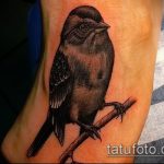 fotó a veréb tetoválásról # 606 - a minta hűvös változata, amely sikeresen használható felülvizsgálatra és alkalmazásra, mint egy veréb tetoválása a karon