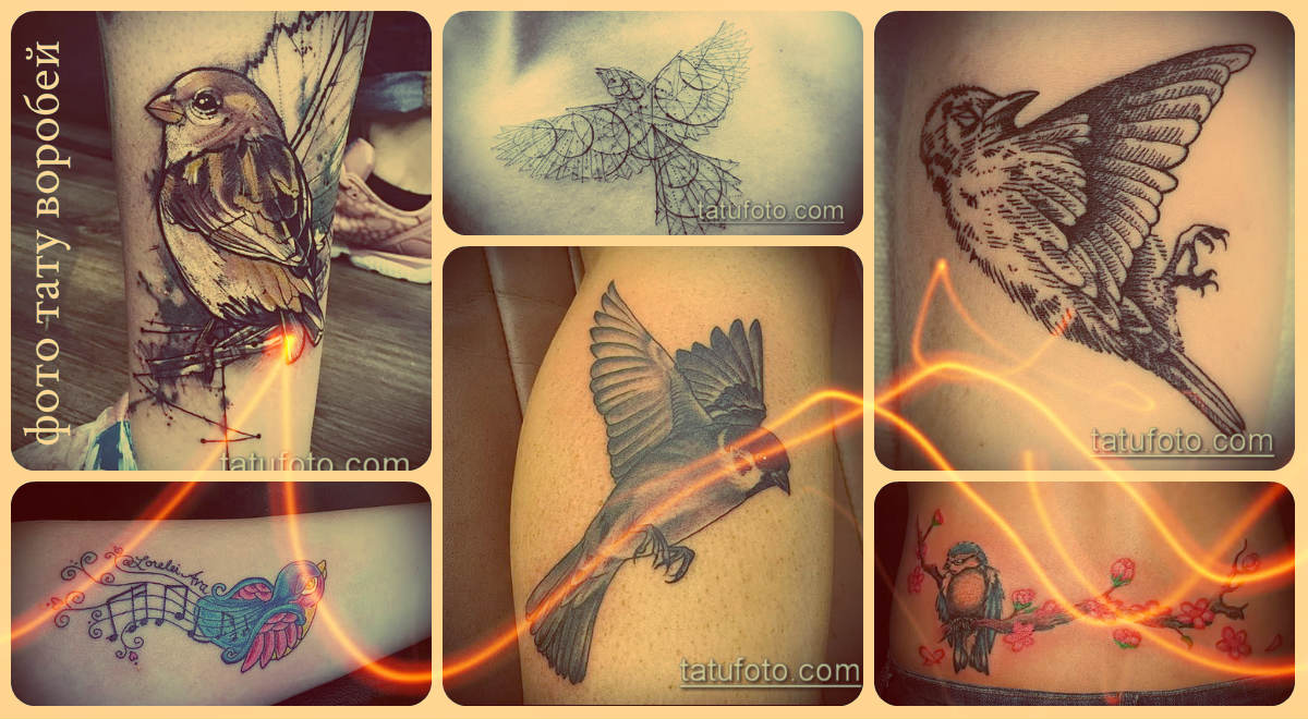Fotó egy veréb tetoválásról - eredeti tetoválási lehetőségek a minta kiválasztásához