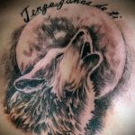 fénykép egy üvöltő farkas tetoválásról № 850 - a rajz hűvös változata, amely sikeresen használható az üvöltő farkas tetoválás felülvizsgálatához és alkalmazásához