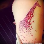 Ciekawy przykład gotowego tatuażu żyrafy - rysunek nadaje się do akwarelowego tatuażu żyrafy