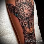 Fajny przykład wytatuowanej żyrafy - rysunek nadaje się do tatuażu żyrafy na rekinie