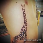 Testowy przykład gotowego tatuażu żyrafa - rysunek nadaje się do tatuażu żyrafa jeż żyrafa