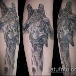 Fajny przykład wytatuowanej żyrafy - rysunek nadaje się do tatuażu żyrafa jeż żyrafa