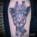 Fajny przykład wykonanego tatuażu żyrafy - rysunek nadaje się do tatuażu żyrafy w okularach