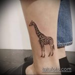 Fajna wersja gotowego tatuażu żyrafy - rysunek nadaje się do tatuażu żyrafy na plecach
