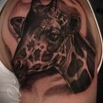 Fajna wersja istniejącego tatuażu żyrafy - rysunek nadaje się do tatuażu żyrafy na plecach