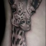 Unikalny przykład gotowego tatuażu żyrafy - rysunek nadaje się do tatuażu żyrafy na żyrafie na palcu