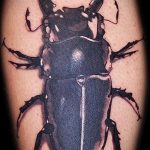 A meglévő bogár tetoválás klassz változata - a rajz alkalmas egy szarvasbogár tetováláshoz